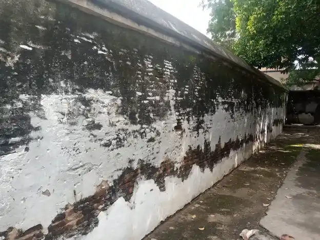 Arulmigu Rishabeshwarar Temple, Chengam - 606701 அருள்மிகு ரிஷபேஸ்வரர் திருக்கோயில், செங்கம் - 606701, Tiruvannamalai - Ancient Temple Architecture and History Image 6