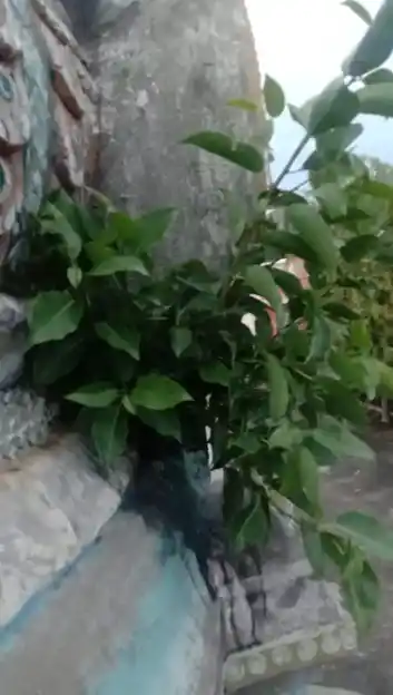 Arulmigu Rishapa Pureeswarar Temple, Melsevour - 604306 அருள்மிகு ரிஷபபுரீஸ்வரர் திருக்கோயில், Melsevour - 604306, Viluppuram - Ancient Temple Architecture and History Image 2