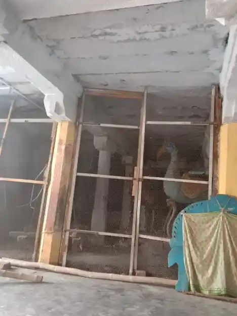 Arulmigu Rishapa Pureeswarar Temple, Melsevour - 604306 அருள்மிகு ரிஷபபுரீஸ்வரர் திருக்கோயில், Melsevour - 604306, Viluppuram - Ancient Temple Architecture and History Image 4