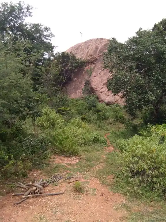 Arulmigu Rishi Karuppanasamy Temple, Pottapatti - 625103 அருள்மிகு ரிஷிக் கருப்பணசாமி கோயில், Pottapatti - 625103, Madurai - Ancient Temple Architecture and History Image 3