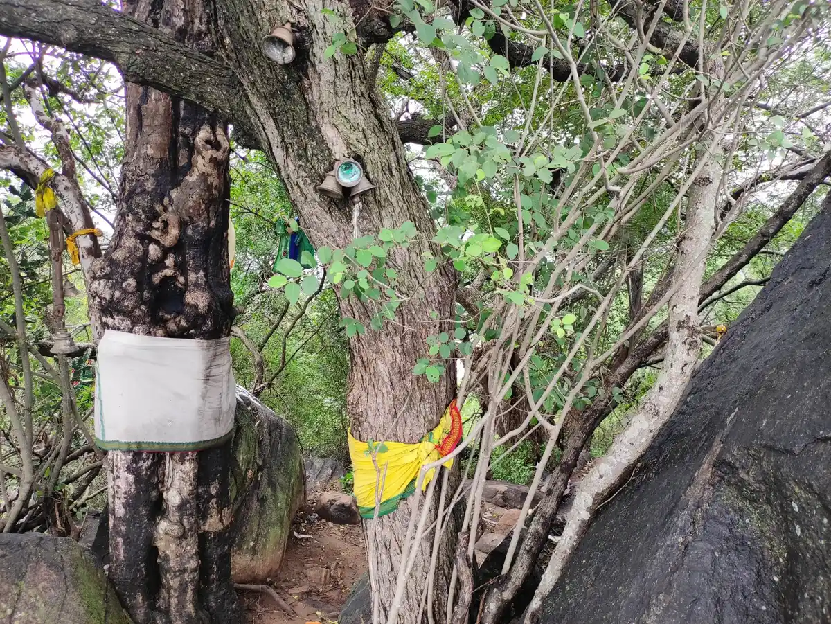 Arulmigu Risimalaiyandi Temple, Nariyuthu - 624215 அருள்மிகு ரிஷிமலையாண்டி திருக்கோயில், Nariyuthu - 624215, Dindigul - Ancient Temple Architecture and History Image 4