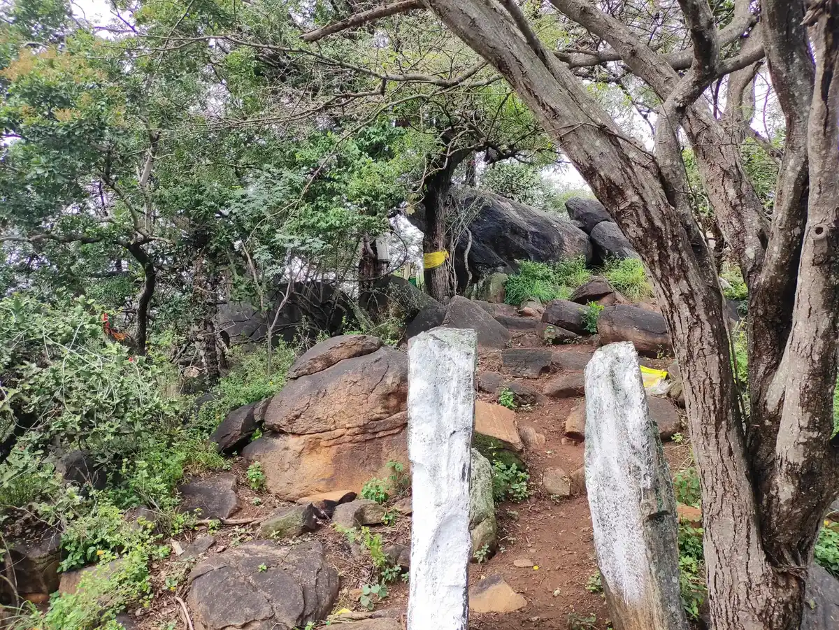 Arulmigu Risimalaiyandi Temple, Nariyuthu - 624215 அருள்மிகு ரிஷிமலையாண்டி திருக்கோயில், Nariyuthu - 624215, Dindigul - Ancient Temple Architecture and History Image 5