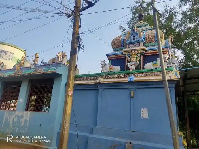 Arulmigu Rudhrapatheeswarar Temple, Nathamalai - 608302 அருள்மிகு ருத்ராபதீஸ்வரர் திருக்கோயில், Nathamalai - 608302, Cuddalore - Ancient Temple Architecture and History Image 5