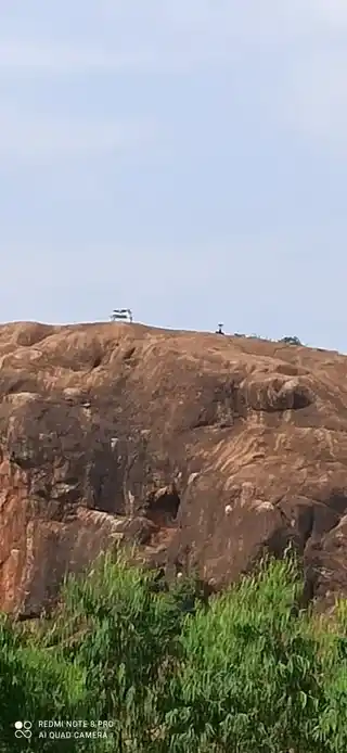 Arulmigu Rudhuva Perumal Temple, Elamanam - 621307