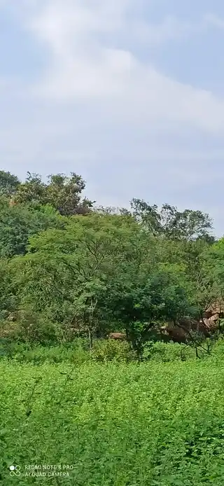 Arulmigu Rudhuva Perumal Temple, Elamanam - 621307 Arulmigu Rudhuva Perumal Temple, Elamanam - 621307, Thiruchirappalli - Ancient Temple Architecture and History Image 4