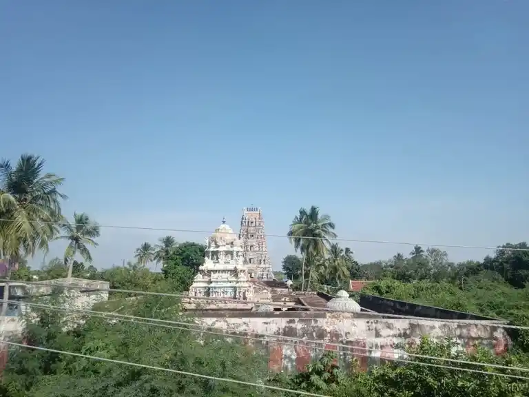 Arulmigu Ruthra Kodieswarar Temple, Sv Mangalam, Sv Mangalam - 630501 அருள்மிகு ருத்ரகோடீஸ்வரர் சுவாமி, Sv Mangalam, Sv Mangalam - 630501, Sivagangai - Ancient Temple Architecture and History Image 4