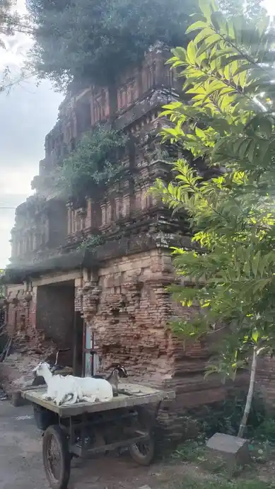 Arulmigu Ruthrakodieswarar Temple, Near Bus Stand, Thirurvarur - 610001 Arulmigu Ruthrakodieswarar Temple, Near Bus Stand, Thirurvarur - 610001, Thiruvarur - Ancient Temple Architecture and History Image 6