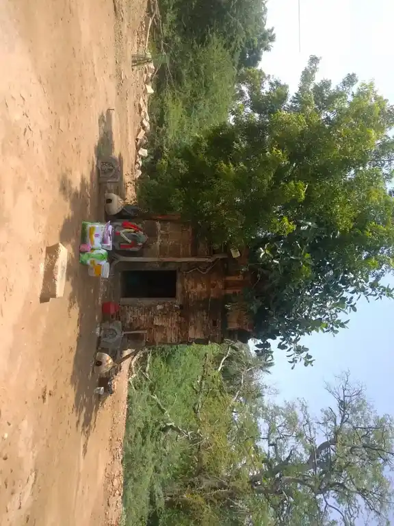 Arulmigu Ruthratcha Eeswaraswamy Temple, Mayanur - 639108 அருள்மிகு ருத்ராட்ச ஈஸ்வரசுவாமி திருக்கோயில், Mayanur - 639108, Karur - Ancient Temple Architecture and History Image 4