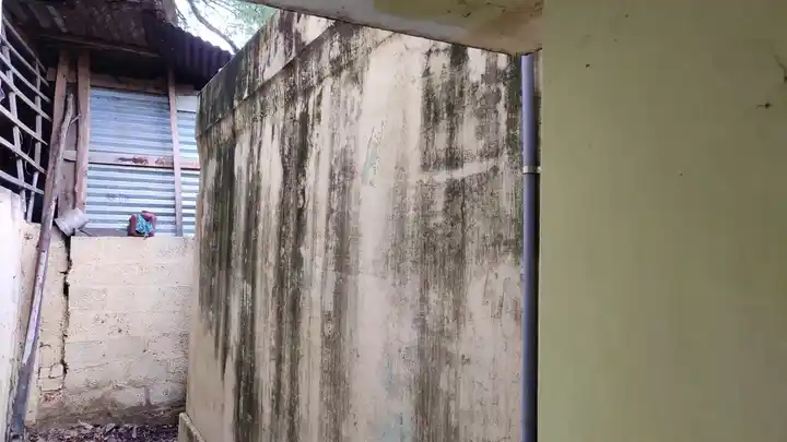 Arulmigu Saalai Vinayagar Temple, T.N.Puthukudi - 627855 அருள்மிகு சாலை விநாயகர் திருக்கோயில், டி என் புதுக்குடி - 627855, Tenkasi - Ancient Temple Architecture and History Image 3