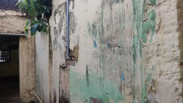 Arulmigu Saalai Vinayagar Temple, T.N.Puthukudi - 627855 அருள்மிகு சாலை விநாயகர் திருக்கோயில், டி என் புதுக்குடி - 627855, Tenkasi - Ancient Temple Architecture and History Image 4