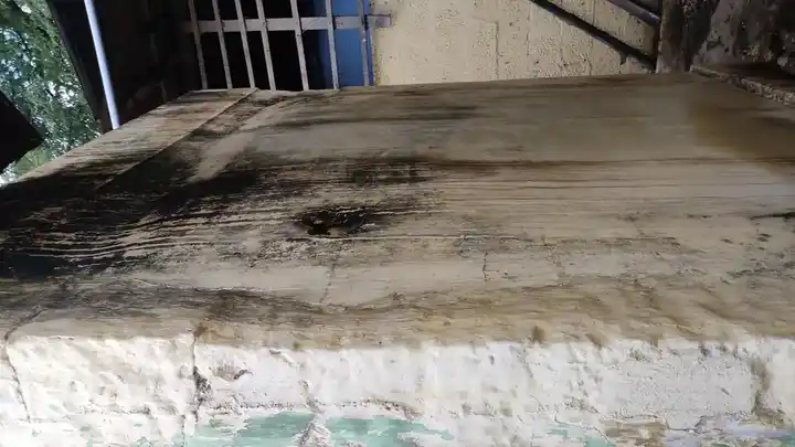 Arulmigu Saalai Vinayagar Temple, T.N.Puthukudi - 627855 அருள்மிகு சாலை விநாயகர் திருக்கோயில், டி என் புதுக்குடி - 627855, Tenkasi - Ancient Temple Architecture and History Image 5