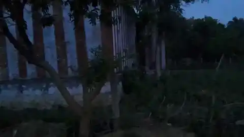 Arulmigu Saalaivinayagar Temple, Sivasailam, Sivasailam - 627412