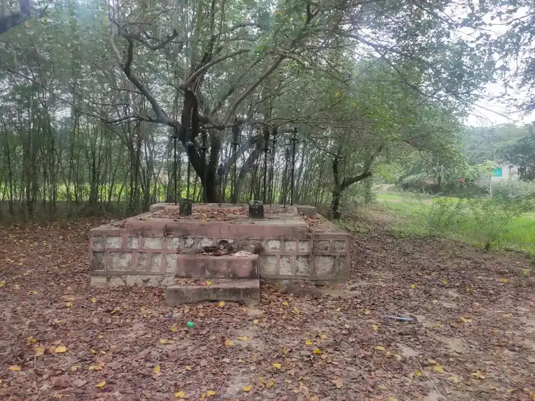 Arulmigu Saamban Temple, Saambanodai - 614616 அருள்மிகு சாம்பான் திருக்கோயில், Saambanodai - 614616, Pudukkottai - Ancient Temple Architecture and History Image 2