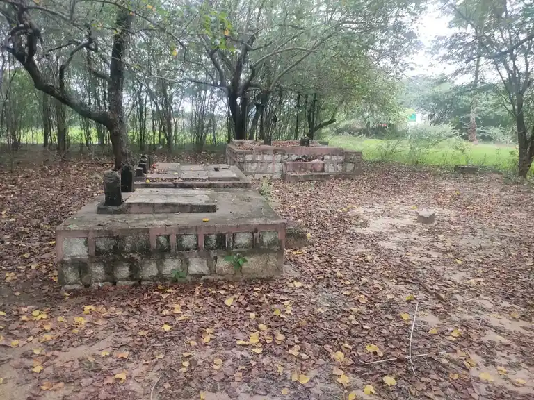 Arulmigu Saamban Temple, Saambanodai - 614616 அருள்மிகு சாம்பான் திருக்கோயில், Saambanodai - 614616, Pudukkottai - Ancient Temple Architecture and History Image 3