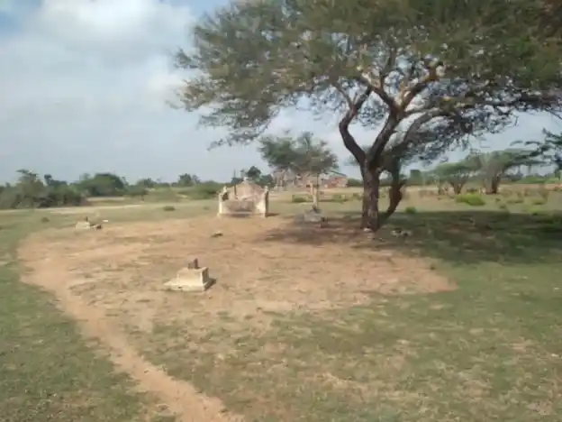 Arulmigu Saampan Temple, Kumulur - 622204 Temple