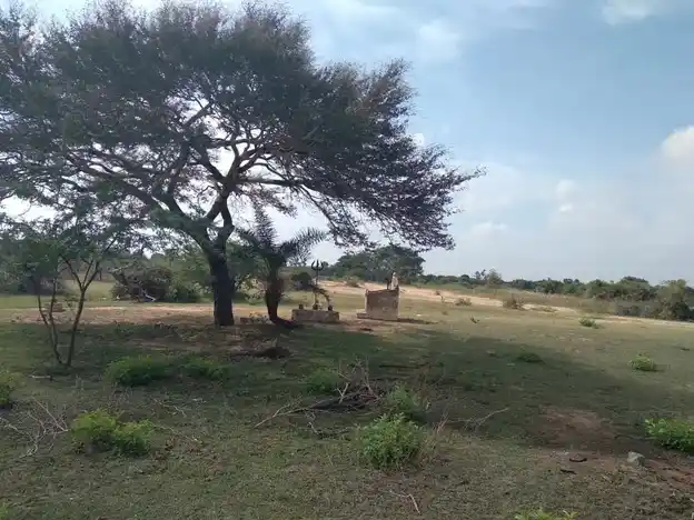 Arulmigu Saampan Temple, Kumulur - 622204 அருள்மிகு சாம்பான் திருக்கோயில், Kumulur - 622204, Pudukkottai - Ancient Temple Architecture and History Image 3