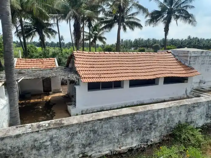 Arulmigu Saavati Vinayagar Temple, S.Ayyampalayam - 641671 அருள்மிகு சாவடிவிநாயகர் திருக்கோயில், S.Ayyampalayam - 641671, Coimbatore - Ancient Temple Architecture and History Image 2