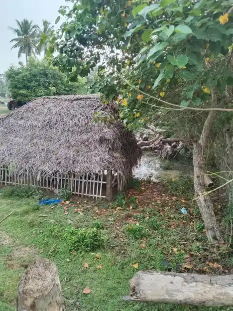 Arulmigu Saba Nadeswarar Temple, Therkku Nanaloor - 614710 அருள்மிகு சபாநாடேஸ்வரர் திருக்கோயில், Therkku Nanaloor - 614710, Thiruvarur - Ancient Temple Architecture and History Image 2