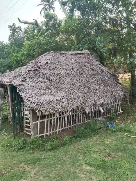 Arulmigu Saba Nadeswarar Temple, Therkku Nanaloor - 614710 அருள்மிகு சபாநாடேஸ்வரர் திருக்கோயில், Therkku Nanaloor - 614710, Thiruvarur - Ancient Temple Architecture and History Image 3