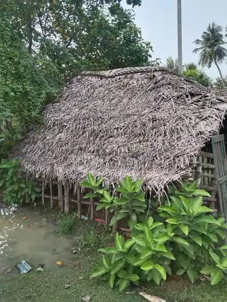 Arulmigu Saba Nadeswarar Temple, Therkku Nanaloor - 614710 அருள்மிகு சபாநாடேஸ்வரர் திருக்கோயில், Therkku Nanaloor - 614710, Thiruvarur - Ancient Temple Architecture and History Image 7