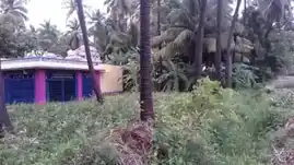 Arulmigu Sabariyanadi And Mariyamman Temple, Mugavur - 626111 அருள்மிகு சபரியாண்டி மற்றும் மாரியம்மன் திருக்கோயில், முகவுர் - 626111, Virudhunagar - Ancient Temple Architecture and History Image 4