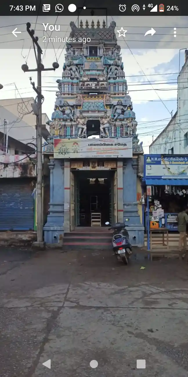 Arulmigu Sadaiyandeeswarar Temple, Thirunageswaram, Kundrathur - 600069 அருள்மிகு சடையாண்டீஸ்வரர் திருக்கோயில், திருநாகேசுவரம், குன்றத்தூர் - 600069, Kancheepuram - Ancient Temple Architecture and History Image 2