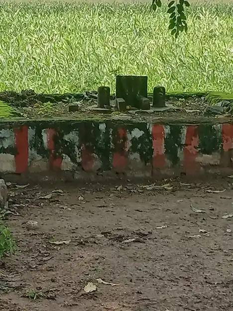 Arulmigu Sadaiyaperumal Temple, A.Vellodu - 624307 அருள்மிகு சடையபெருமாள் கோயில், A.Vellodu, A.Vellodu - 624307, Dindigul - Ancient Temple Architecture and History Image 4