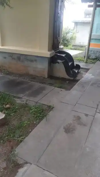 Arulmigu Sadaiyudaya Kandan Sastha Temple, Nalloor, Marungoor - 629704 Temple