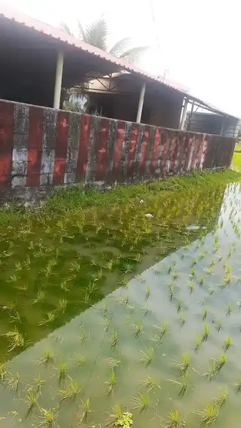 Arulmigu Sadaiyudaya Kandan Sastha Temple, Nalloor, Marungoor - 629704 Arulmigu Sadaiyudaya Kandan Sastha Temple, Nalloor, Marungoor - 629704, Kanyakumari - Ancient Temple Architecture and History Image 3