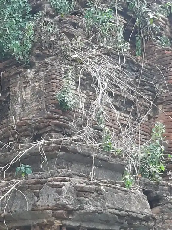 Arulmigu Sadhurpooja Varadaraja Perumal Temple, Thanjavur - 613009 அருள்மிகு சதுர்பூஜ வரதராஜர் திருக்கோயில், Thanjavur - 613009, Thanjavur - Ancient Temple Architecture and History Image 3
