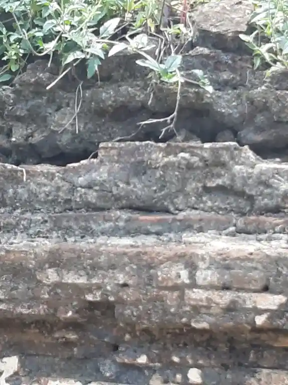 Arulmigu Sadhurpooja Varadaraja Perumal Temple, Thanjavur - 613009 அருள்மிகு சதுர்பூஜ வரதராஜர் திருக்கோயில், Thanjavur - 613009, Thanjavur - Ancient Temple Architecture and History Image 6