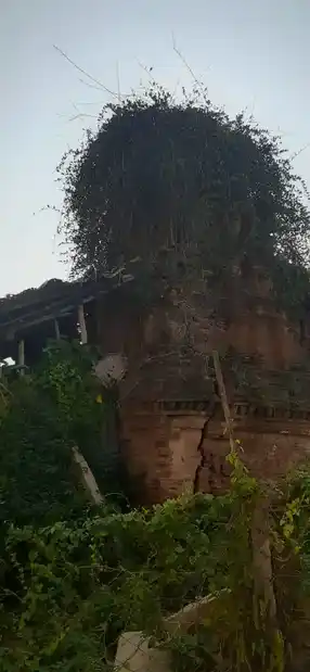 Arulmigu Sadhurpooja Varadaraja Perumal Temple, Thanjavur - 613009 அருள்மிகு சதுர்பூஜ வரதராஜர் திருக்கோயில், Thanjavur - 613009, Thanjavur - Ancient Temple Architecture and History Image 8