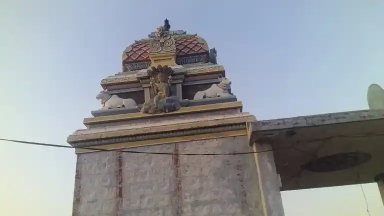 Arulmigu Sajivi Malaimurugan, Thirumurugan Temple, Meenatchivalasu, Kilankundal - 638106 அருள்மிகு சஞ்சீவி மலைமுருகன், திருமுருகன் திருக்கோயில், மீனாட்சிவலசு, கிளங்குண்டால் - 638106, Tiruppur - Ancient Temple Architecture and History Image 4