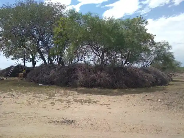Arulmigu Sakka Deviyamman Temple, Near Kanmai Karai, Krishnaperi. - 626141