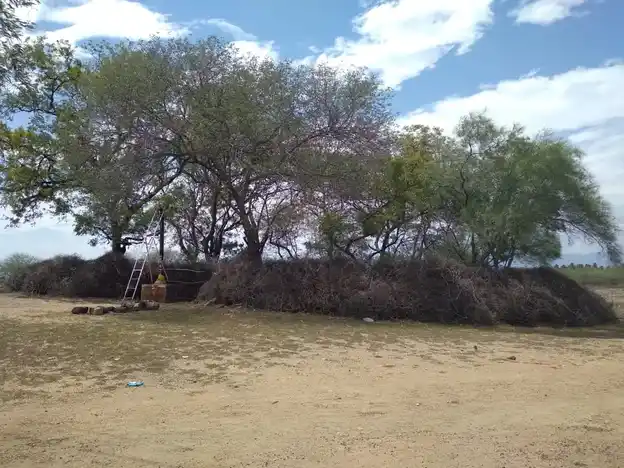 Arulmigu Sakka Deviyamman Temple, Near Kanmai Karai, Krishnaperi. - 626141 அருள்மிகு சக்கதேவியம்மன் திருக்கோயில், கண்மாய்க்கரை அருகில், கிருஸ்ணப்பேரி கிராமம் - 626141, Virudhunagar - Ancient Temple Architecture and History Image 2