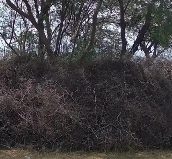 Arulmigu Sakka Deviyamman Temple, Near Kanmai Karai, Krishnaperi. - 626141 அருள்மிகு சக்கதேவியம்மன் திருக்கோயில், கண்மாய்க்கரை அருகில், கிருஸ்ணப்பேரி கிராமம் - 626141, Virudhunagar - Ancient Temple Architecture and History Image 3