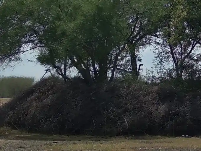 Arulmigu Sakka Deviyamman Temple, Near Kanmai Karai, Krishnaperi. - 626141 அருள்மிகு சக்கதேவியம்மன் திருக்கோயில், கண்மாய்க்கரை அருகில், கிருஸ்ணப்பேரி கிராமம் - 626141, Virudhunagar - Ancient Temple Architecture and History Image 4
