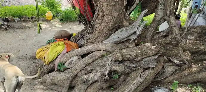 Arulmigu Sakkadeviamman Temple, Kodukkamparai - 628952 அருள்மிகு சக்கதேவியம்மன் திருக்கோயில், Kodukkamparai - 628952, Thoothukudi - Ancient Temple Architecture and History Image 2