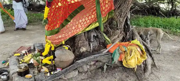 Arulmigu Sakkadeviamman Temple, Kodukkamparai - 628952 அருள்மிகு சக்கதேவியம்மன் திருக்கோயில், Kodukkamparai - 628952, Thoothukudi - Ancient Temple Architecture and History Image 4