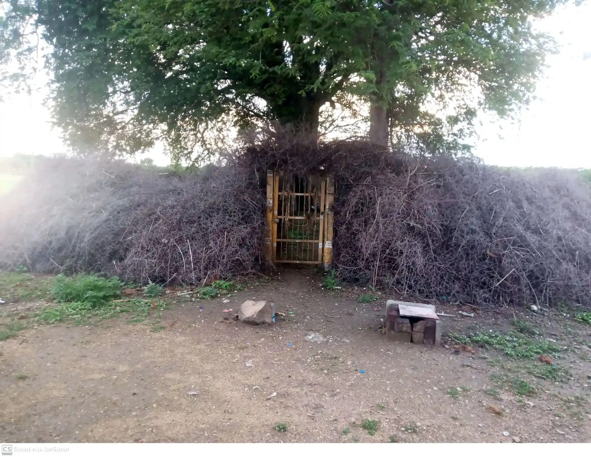 Arulmigu Sakkadeviamman Temple, M.Kodangippatti - 628907