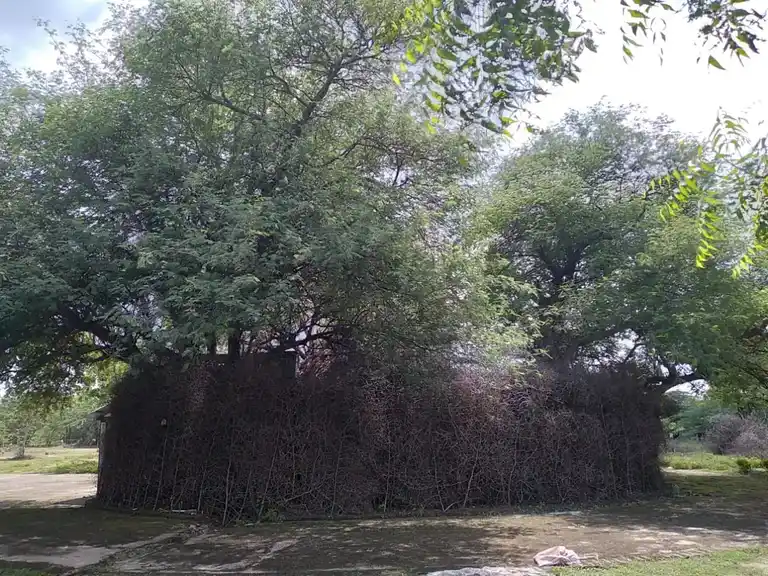 Arulmigu Sakkadeviyamman Temple, Alangulam., Alangulam - 626127 அருள்மிகு சக்கதேவி அம்மன் திருக்கோயில், ஆலங்குளம், ஆலங்குளம் கிராமம் - 626127, Virudhunagar - Ancient Temple Architecture and History Image 3