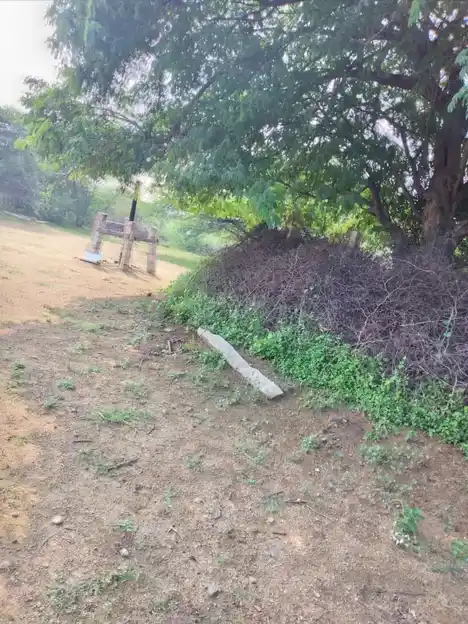 Arulmigu Sakkadeviyamman Temple, Kakkivadanpatti, Kakkivadanpatti - 626124