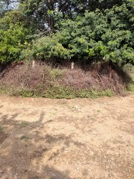 Arulmigu Sakkadeviyamman Temple, Kakkivadanpatti, Kakkivadanpatti - 626124 அருள்மிகு சக்கதேவி அம்மன் திருக்கோயில், காக்கிவாடன்பட்டி, காக்கிவாடன்பட்டி கிராமம் - 626124, Virudhunagar - Ancient Temple Architecture and History Image 6