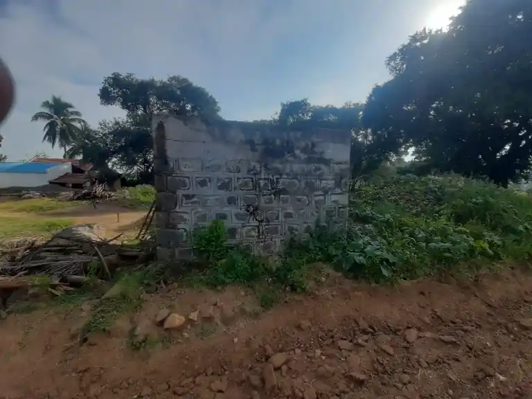 Arulmigu Sakkamman And Selliyamman Temple, Kottumaranahalli - 635205