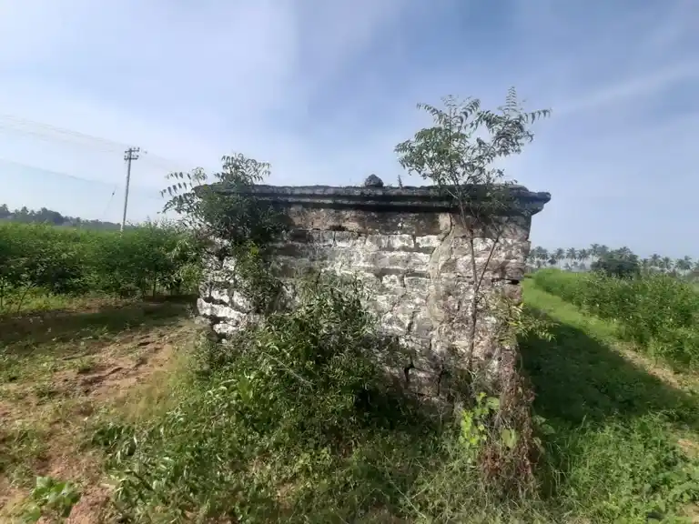 Arulmigu Sakkamman And Selliyamman Temple, Kottumaranahalli - 635205 அருள்மிகு சாக்கம்மன், செல்லியம்மன் திருக்கோயில், Kottumaranahalli - 635205, Dharmapuri - Ancient Temple Architecture and History Image 2