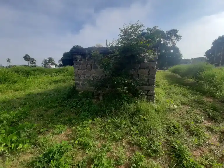 Arulmigu Sakkamman And Selliyamman Temple, Kottumaranahalli - 635205 அருள்மிகு சாக்கம்மன், செல்லியம்மன் திருக்கோயில், Kottumaranahalli - 635205, Dharmapuri - Ancient Temple Architecture and History Image 9