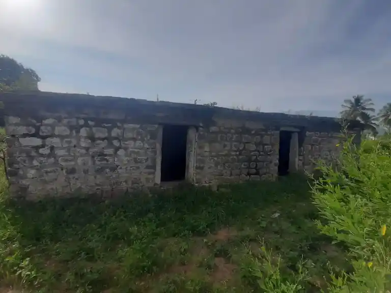 Arulmigu Sakkamman And Selliyamman Temple, Kottumaranahalli - 635205 அருள்மிகு சாக்கம்மன், செல்லியம்மன் திருக்கோயில், Kottumaranahalli - 635205, Dharmapuri - Ancient Temple Architecture and History Image 10