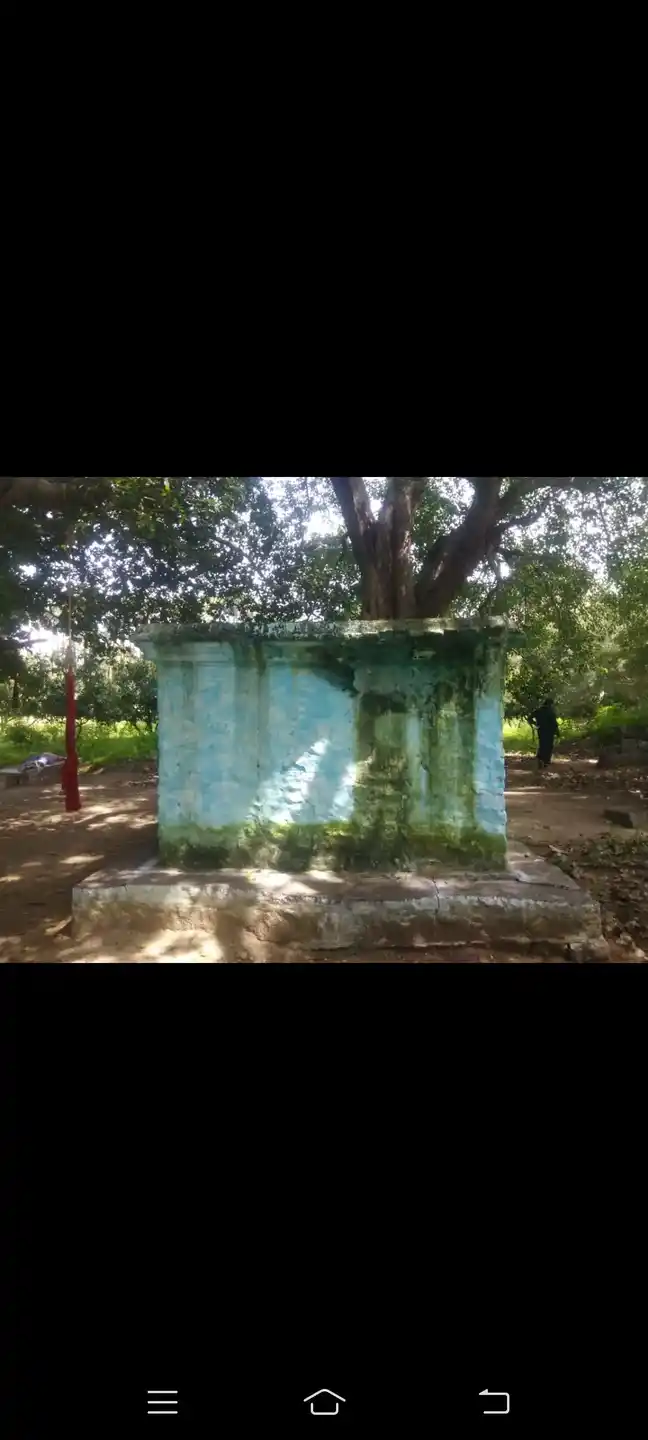 Arulmigu Sakkamman Temple, Thattkal - 635204 Temple