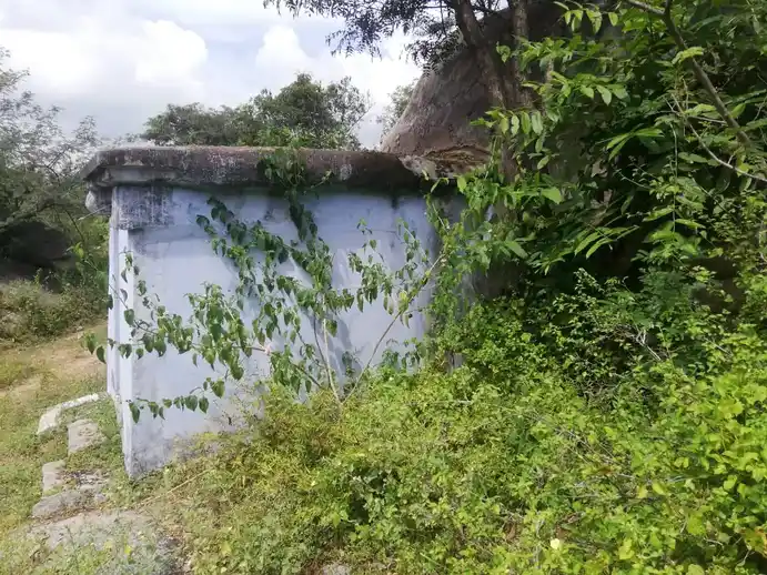 Arulmigu Sakkiamman Temple, Kuriyanapalli - 635121 Temple
