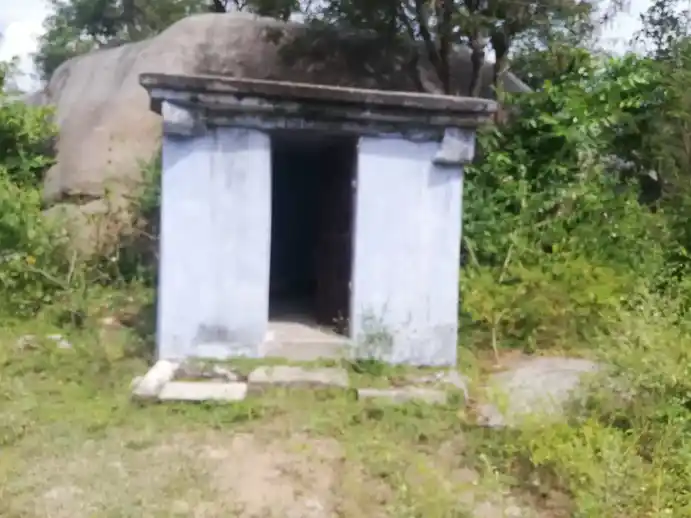 Arulmigu Sakkiamman Temple, Kuriyanapalli - 635121 அருள்மிகு சாக்கியம்மன் திருக்கோயில், Kuriyanapalli - 635121, Krishnagiri - Ancient Temple Architecture and History Image 2